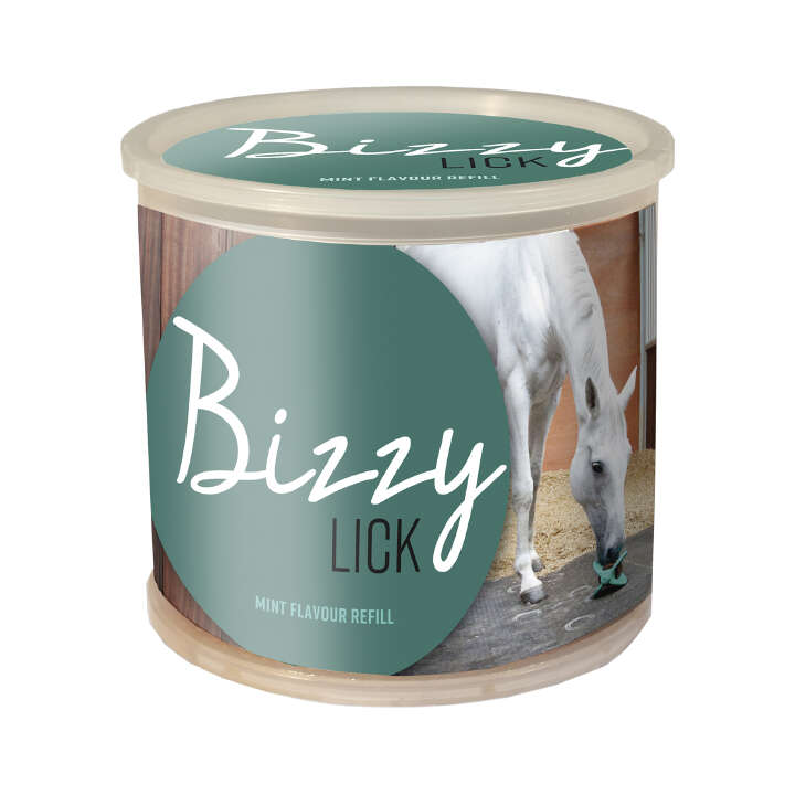 BIZZY HORSE Leckstein 1 kg